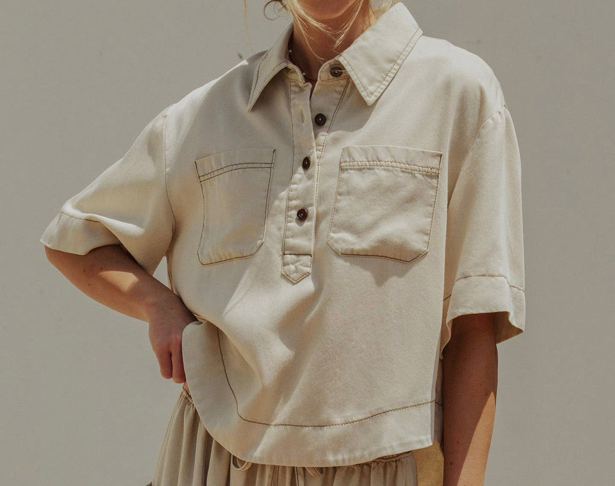 The Dylan-Taupe