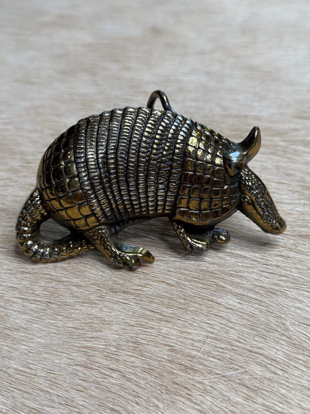 Vintage Armadillo Belt Buckle