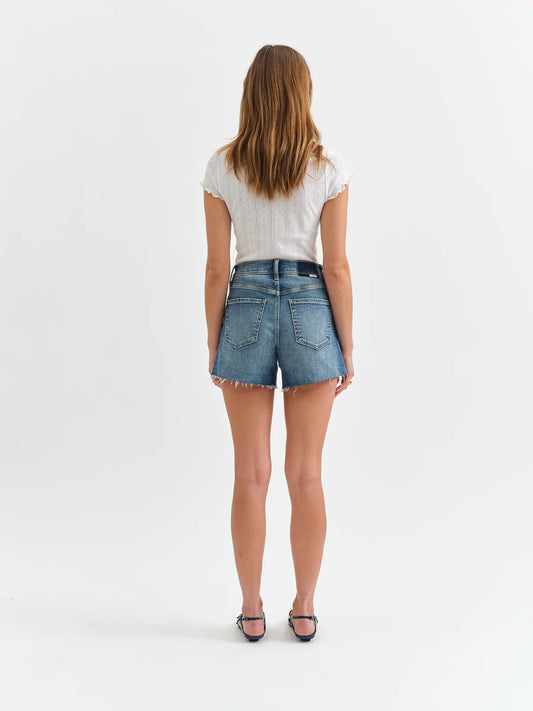 Vintage Wash High Rise Short